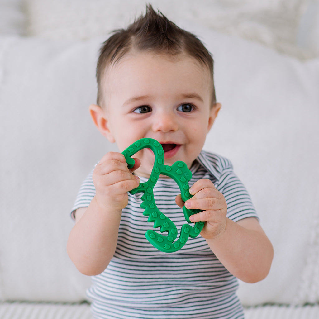 Mordedor Dino Baby